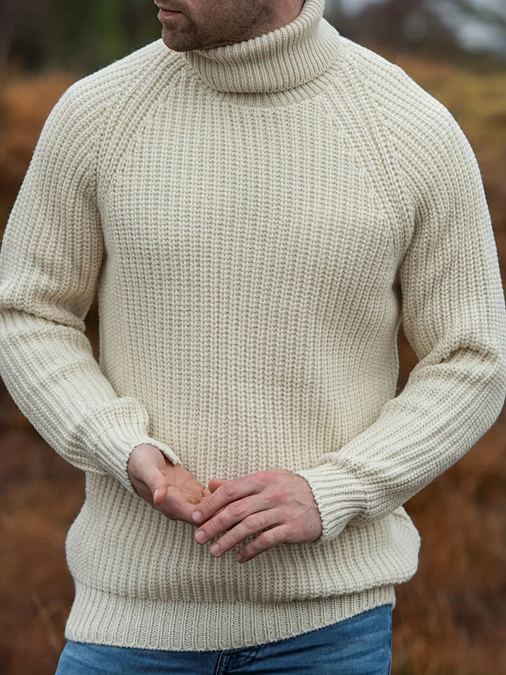 Men Solid Ribbed Turtleneck Sweater