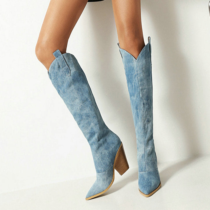 Women’s Pointed Toe High Heel Boots