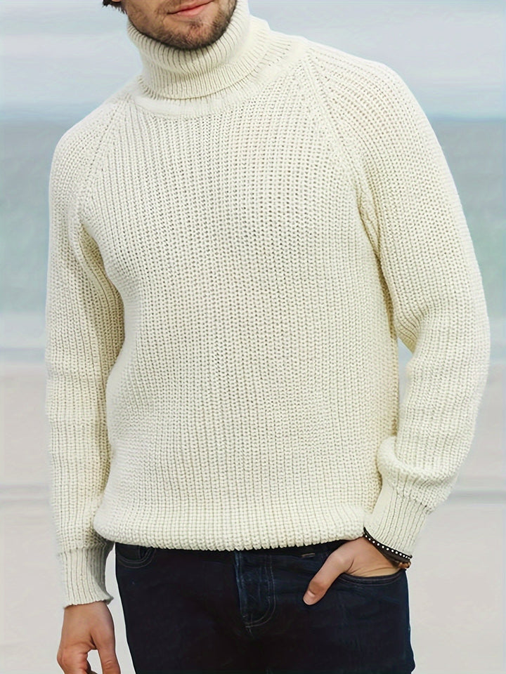 Men Solid Ribbed Turtleneck Sweater